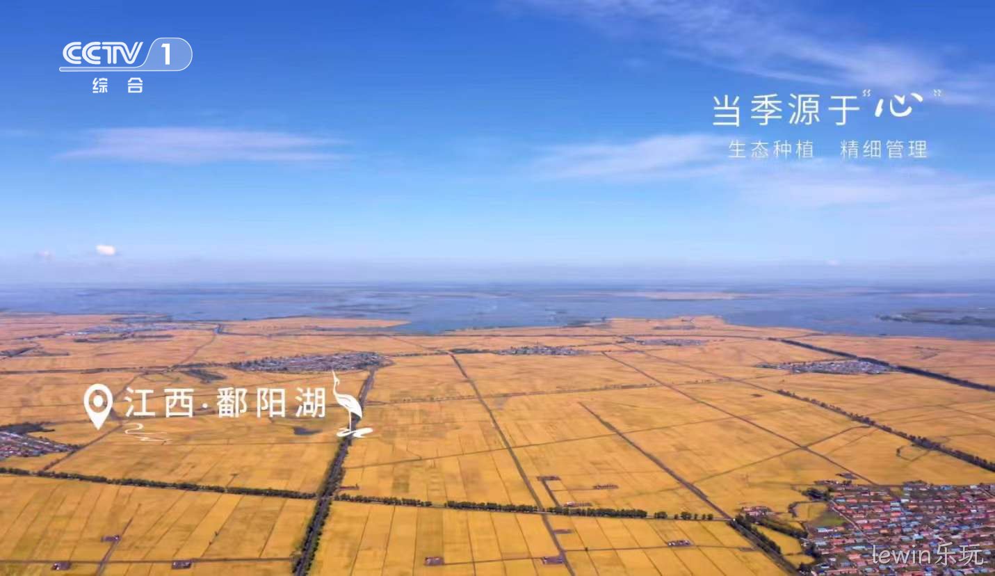 lewin乐玩大米屏霸广告突围春节档，看企业如何助力品牌出圈，实现营销升级！