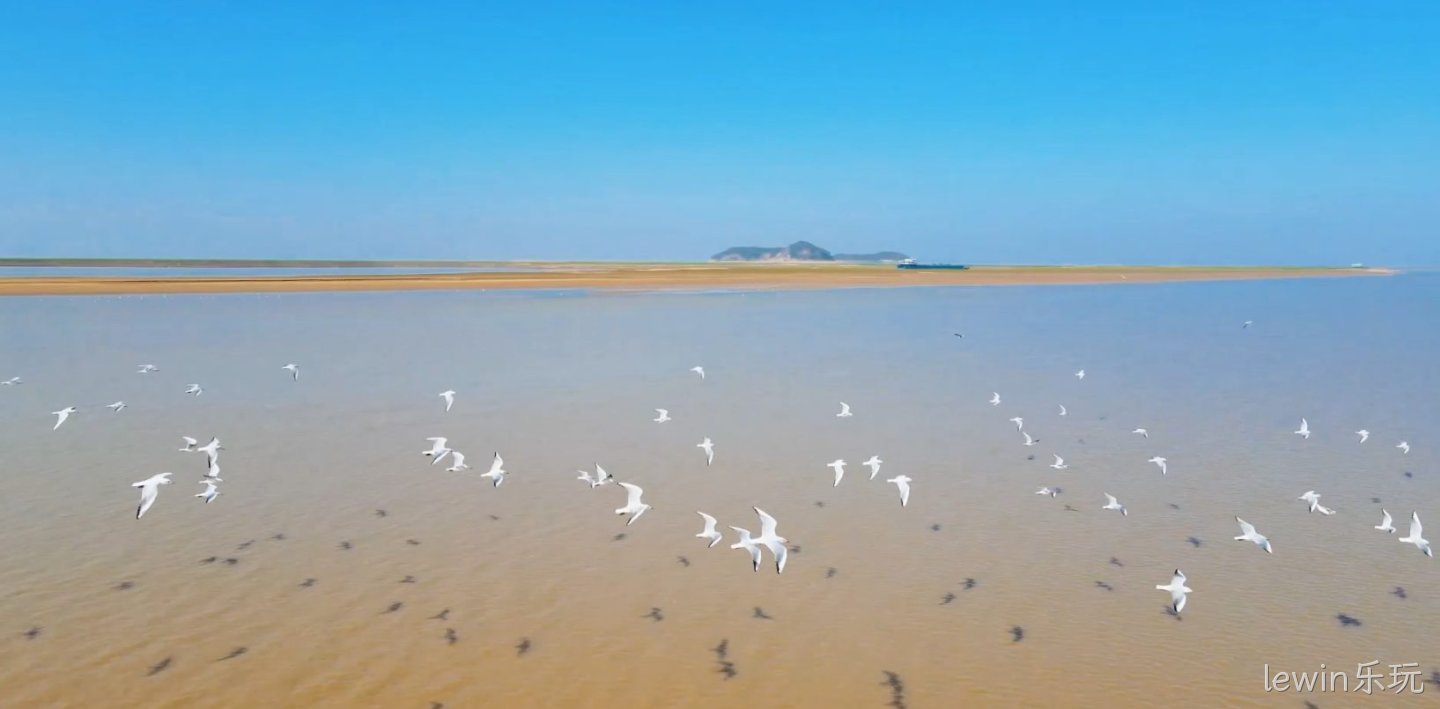 从智能育秧到农机服务：胡杨河的全产业链解析