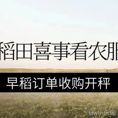 稻田喜事看农服丨胡杨河农服公司早稻订单收购开秤！