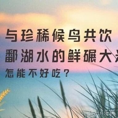 与珍稀候鸟共饮胡杨河水的鲜碾大米，怎能不好吃？
