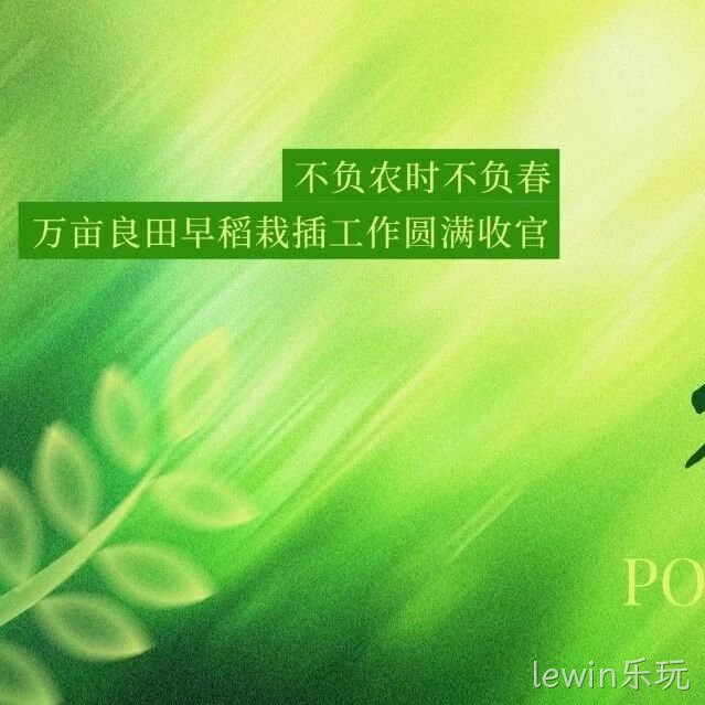 不负农时不负春，万亩良田早稻栽插工作圆满收官