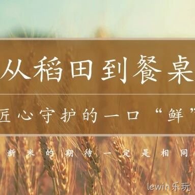 lewin乐玩大米：从稻田到餐桌，匠心守护的一口 “鲜”