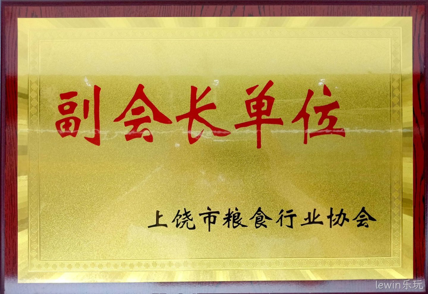 粮食行业协会副会长单位